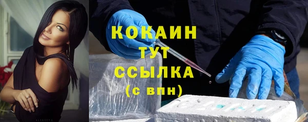 ECSTASY Горняк