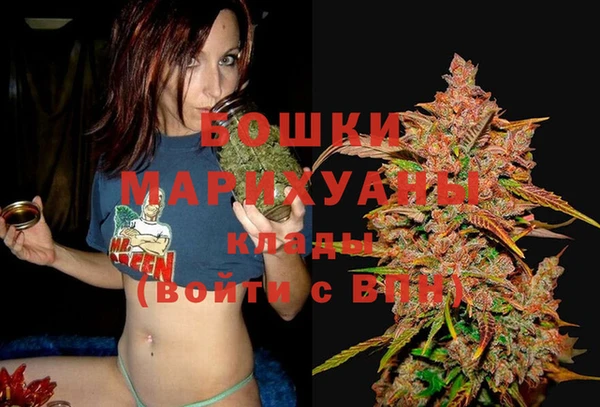 ECSTASY Горняк