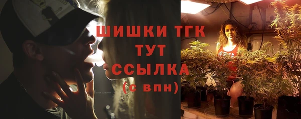 ECSTASY Горняк