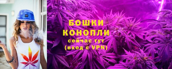 ECSTASY Горняк