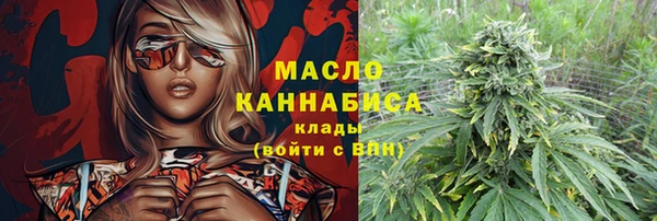 СК Вязьма
