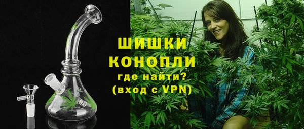 ECSTASY Горняк